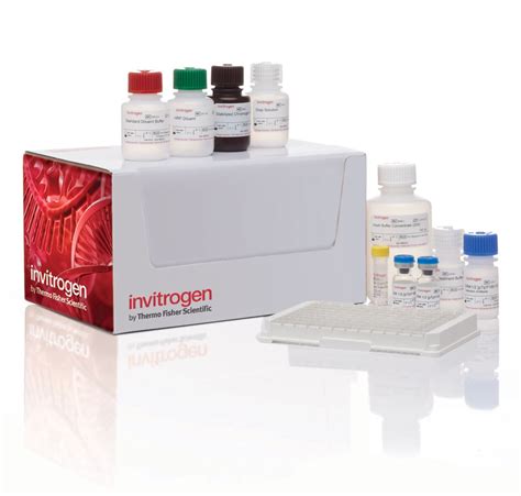 Elisa kits thermo fisher. Things To Know About Elisa kits thermo fisher. 